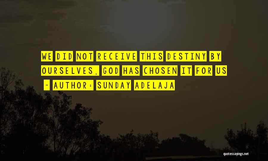 Sunday Adelaja Quotes: We Did Not Receive This Destiny By Ourselves, God Has Chosen It For Us