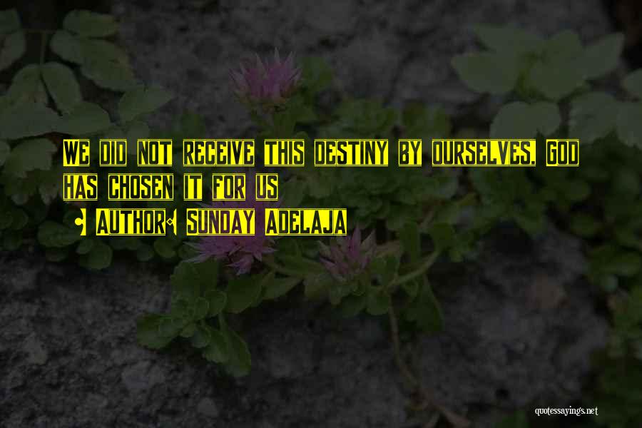 Sunday Adelaja Quotes: We Did Not Receive This Destiny By Ourselves, God Has Chosen It For Us