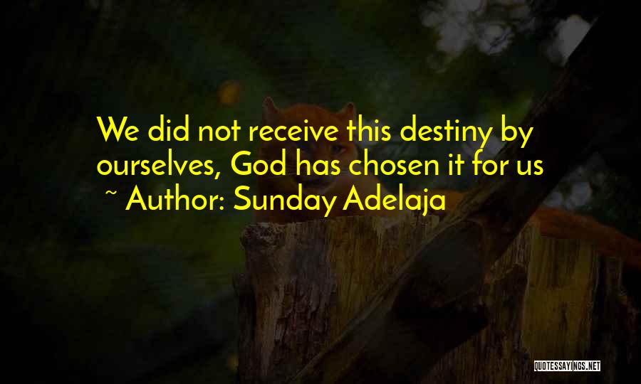 Sunday Adelaja Quotes: We Did Not Receive This Destiny By Ourselves, God Has Chosen It For Us