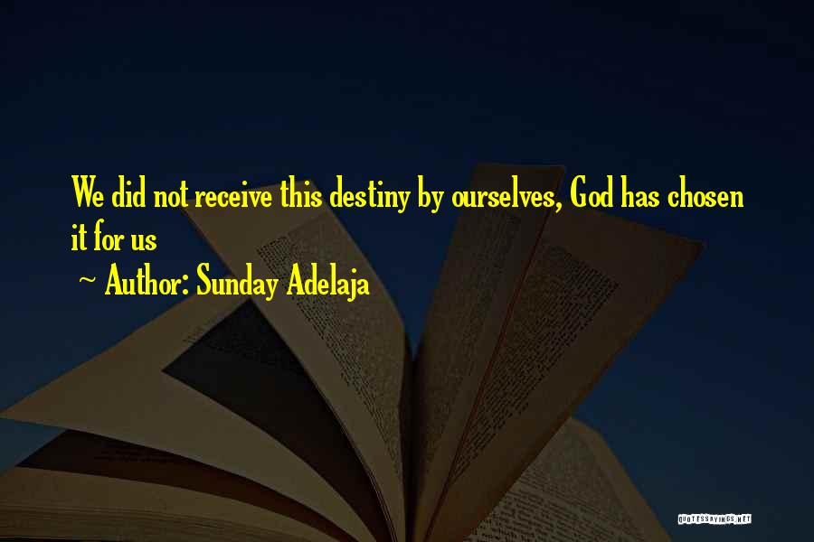 Sunday Adelaja Quotes: We Did Not Receive This Destiny By Ourselves, God Has Chosen It For Us