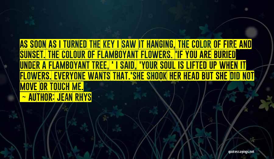 Jean Rhys Quotes: As Soon As I Turned The Key I Saw It Hanging, The Color Of Fire And Sunset. The Colour Of