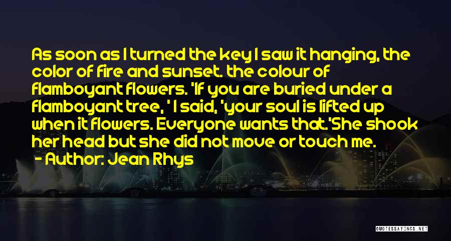 Jean Rhys Quotes: As Soon As I Turned The Key I Saw It Hanging, The Color Of Fire And Sunset. The Colour Of