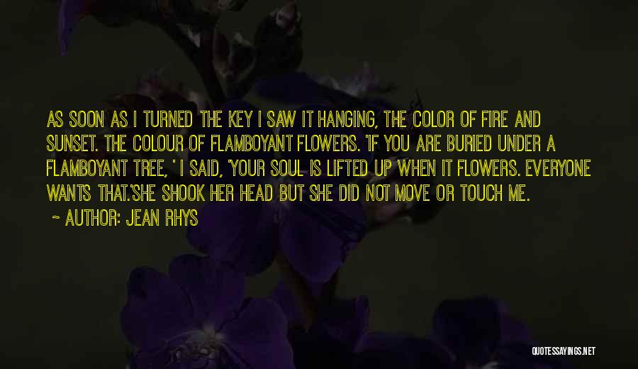 Jean Rhys Quotes: As Soon As I Turned The Key I Saw It Hanging, The Color Of Fire And Sunset. The Colour Of