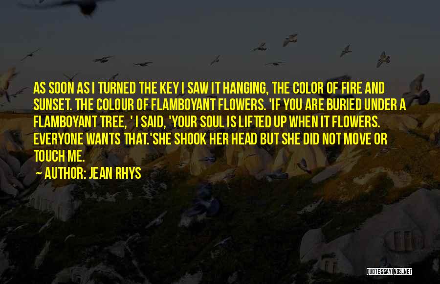 Jean Rhys Quotes: As Soon As I Turned The Key I Saw It Hanging, The Color Of Fire And Sunset. The Colour Of