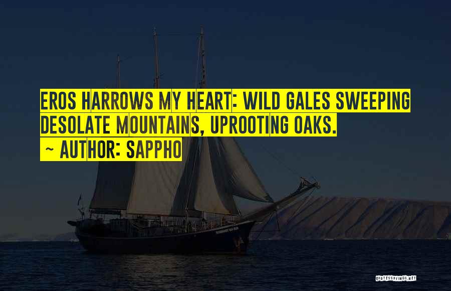 Sappho Quotes: Eros Harrows My Heart: Wild Gales Sweeping Desolate Mountains, Uprooting Oaks.