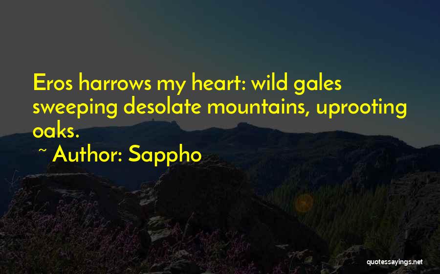 Sappho Quotes: Eros Harrows My Heart: Wild Gales Sweeping Desolate Mountains, Uprooting Oaks.