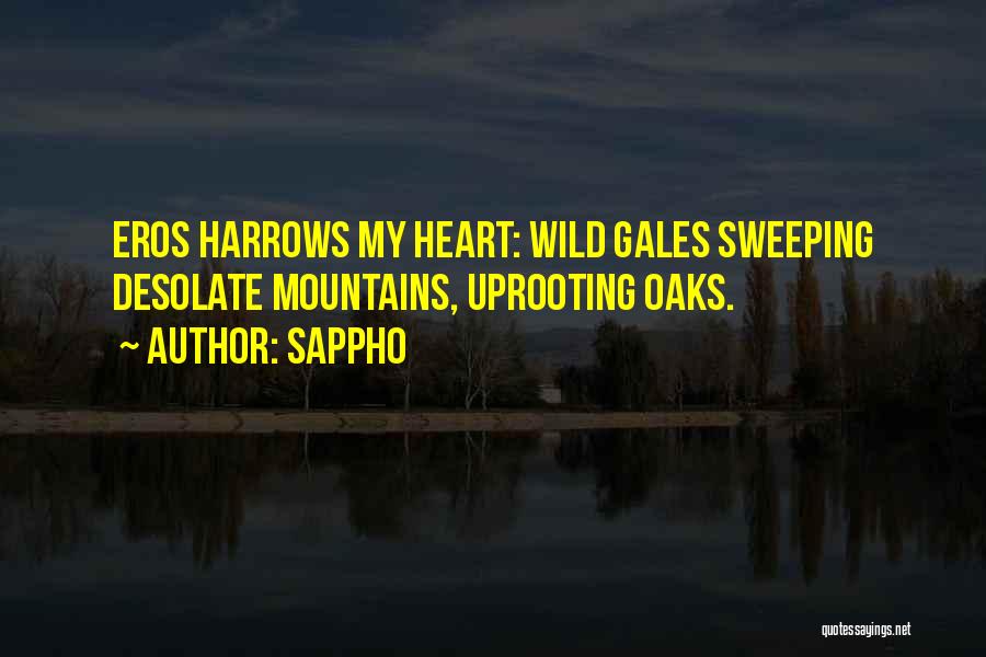 Sappho Quotes: Eros Harrows My Heart: Wild Gales Sweeping Desolate Mountains, Uprooting Oaks.