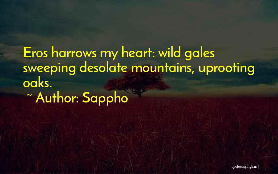 Sappho Quotes: Eros Harrows My Heart: Wild Gales Sweeping Desolate Mountains, Uprooting Oaks.