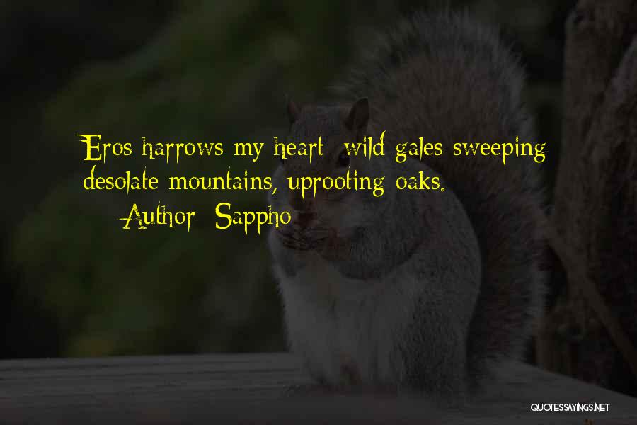 Sappho Quotes: Eros Harrows My Heart: Wild Gales Sweeping Desolate Mountains, Uprooting Oaks.