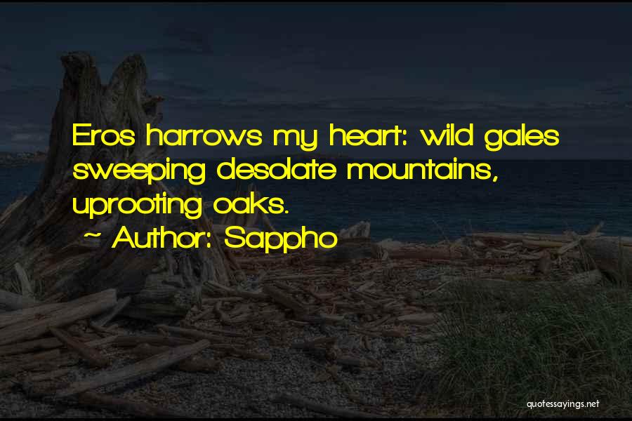 Sappho Quotes: Eros Harrows My Heart: Wild Gales Sweeping Desolate Mountains, Uprooting Oaks.