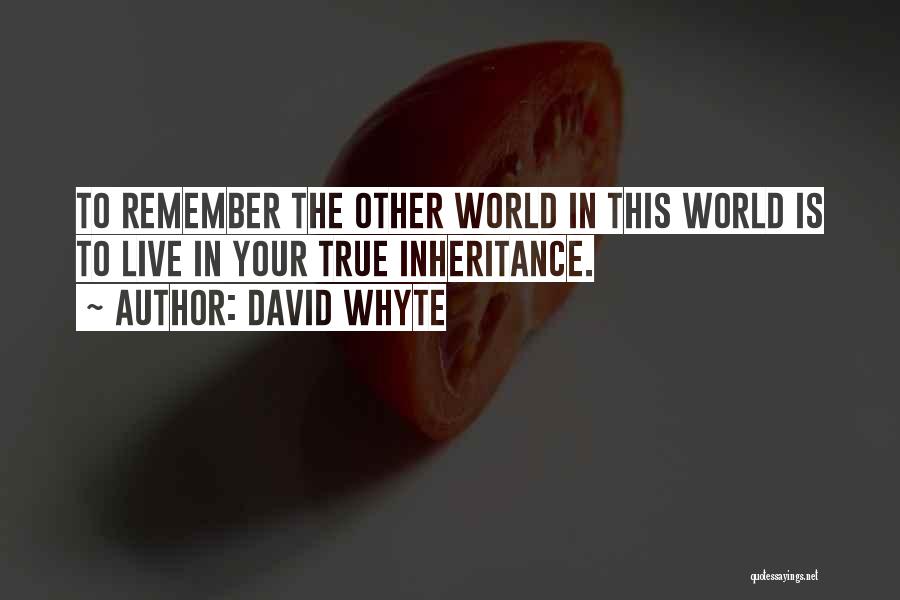 David Whyte Quotes: To Remember The Other World In This World Is To Live In Your True Inheritance.