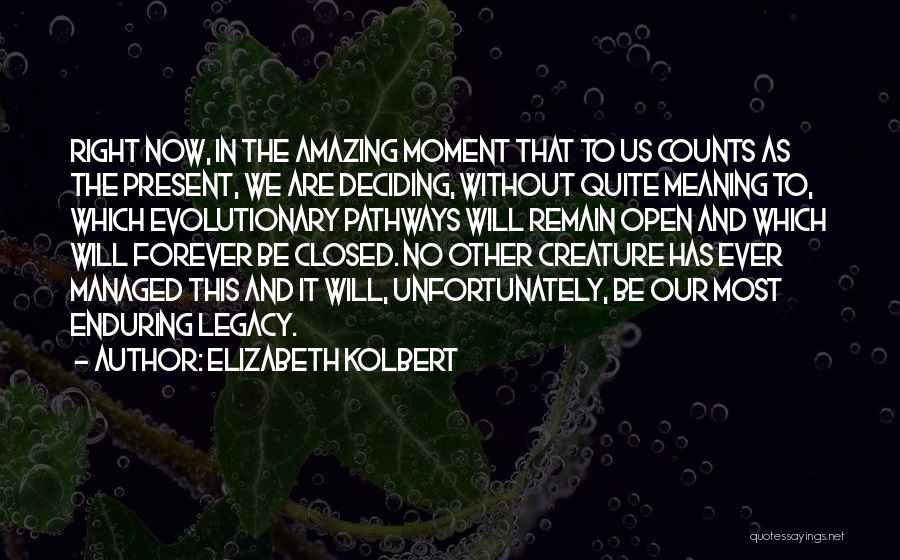 Elizabeth Kolbert Quotes: Right Now, In The Amazing Moment That To Us Counts As The Present, We Are Deciding, Without Quite Meaning To,