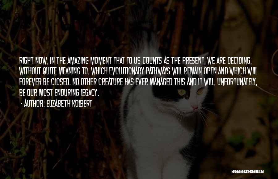 Elizabeth Kolbert Quotes: Right Now, In The Amazing Moment That To Us Counts As The Present, We Are Deciding, Without Quite Meaning To,