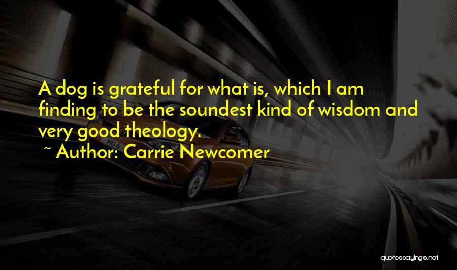 Carrie Newcomer Quotes: A Dog Is Grateful For What Is, Which I Am Finding To Be The Soundest Kind Of Wisdom And Very