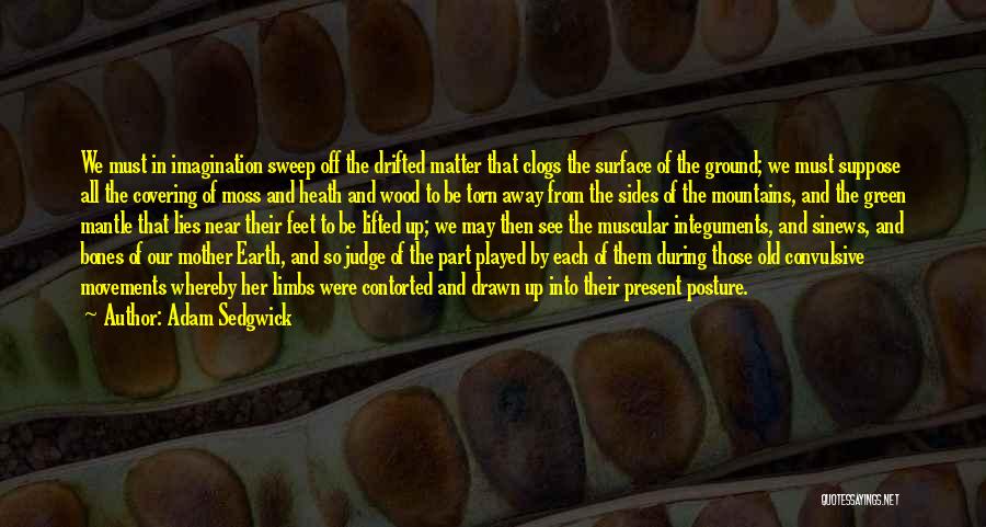 Adam Sedgwick Quotes: We Must In Imagination Sweep Off The Drifted Matter That Clogs The Surface Of The Ground; We Must Suppose All