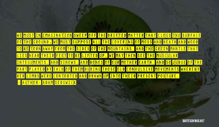Adam Sedgwick Quotes: We Must In Imagination Sweep Off The Drifted Matter That Clogs The Surface Of The Ground; We Must Suppose All