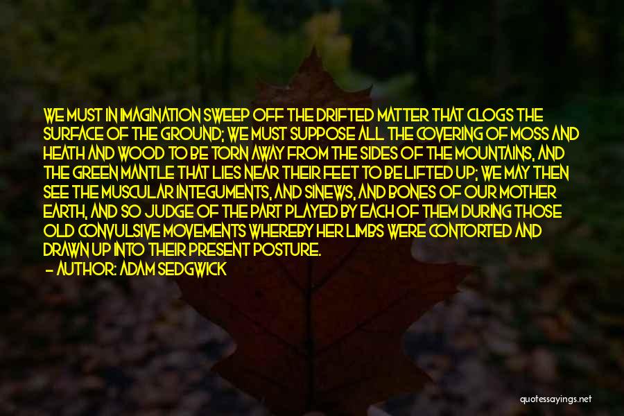 Adam Sedgwick Quotes: We Must In Imagination Sweep Off The Drifted Matter That Clogs The Surface Of The Ground; We Must Suppose All