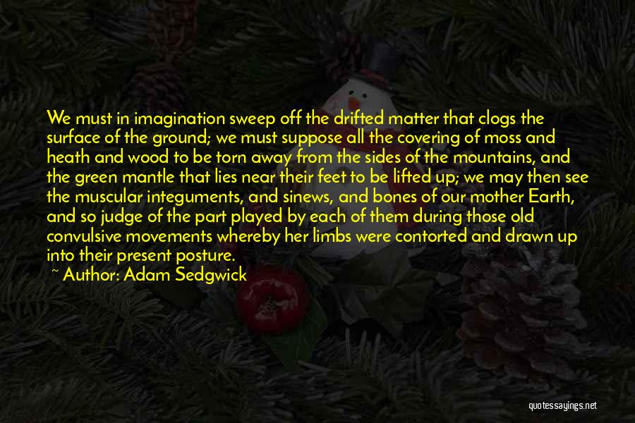 Adam Sedgwick Quotes: We Must In Imagination Sweep Off The Drifted Matter That Clogs The Surface Of The Ground; We Must Suppose All