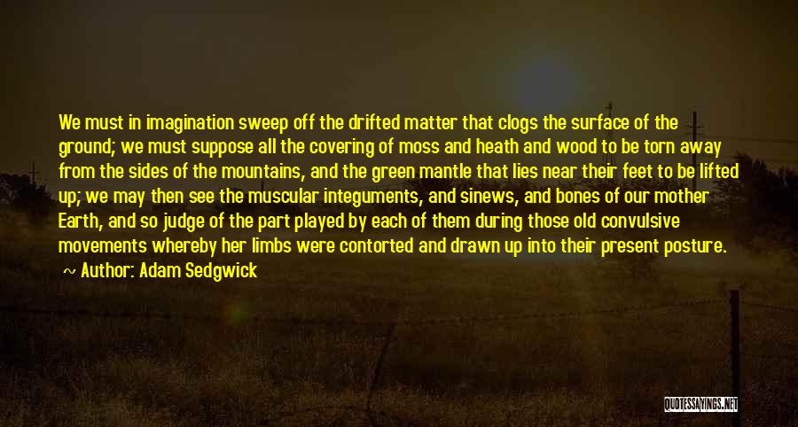 Adam Sedgwick Quotes: We Must In Imagination Sweep Off The Drifted Matter That Clogs The Surface Of The Ground; We Must Suppose All