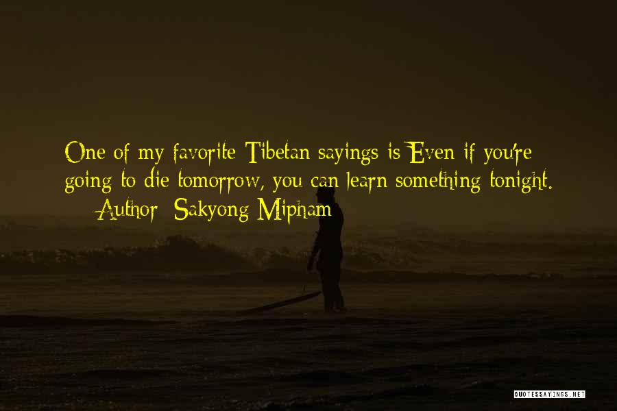 Sakyong Mipham Quotes: One Of My Favorite Tibetan Sayings Is Even If You're Going To Die Tomorrow, You Can Learn Something Tonight.