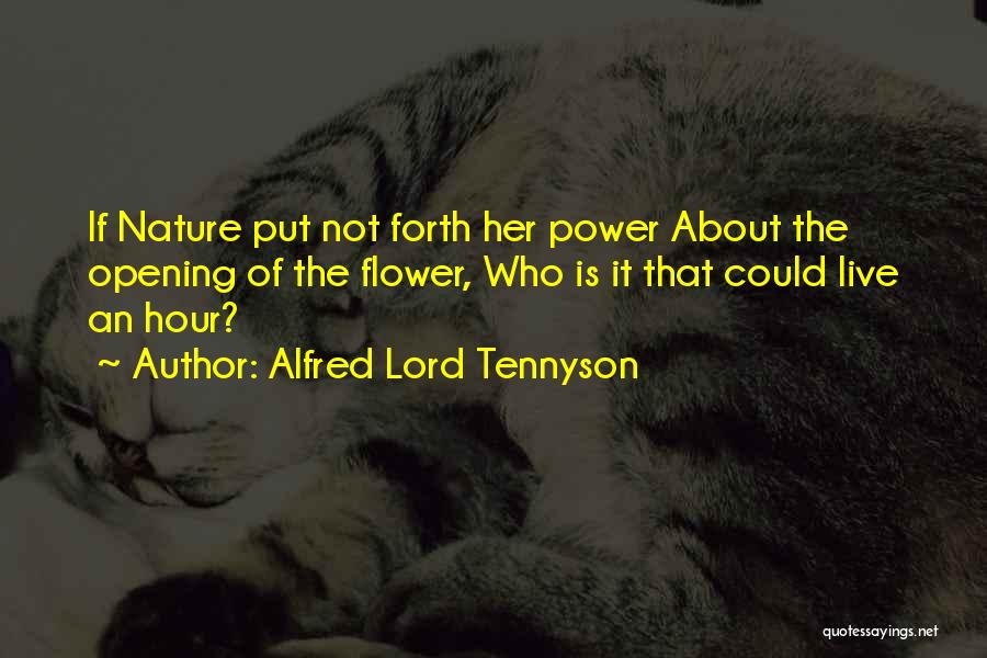 Alfred Lord Tennyson Quotes: If Nature Put Not Forth Her Power About The Opening Of The Flower, Who Is It That Could Live An