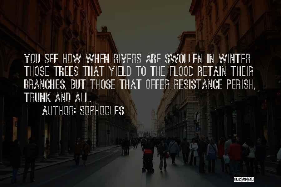 Sophocles Quotes: You See How When Rivers Are Swollen In Winter Those Trees That Yield To The Flood Retain Their Branches, But