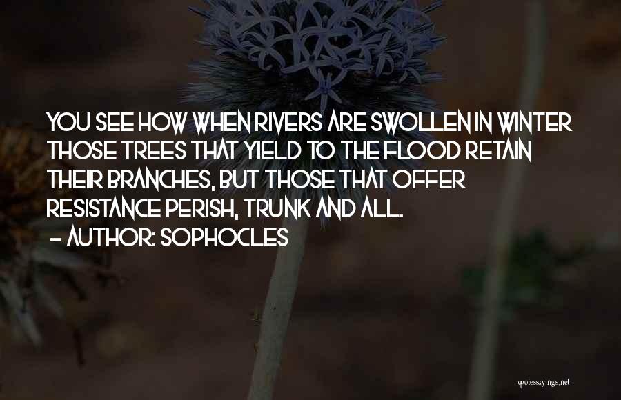 Sophocles Quotes: You See How When Rivers Are Swollen In Winter Those Trees That Yield To The Flood Retain Their Branches, But