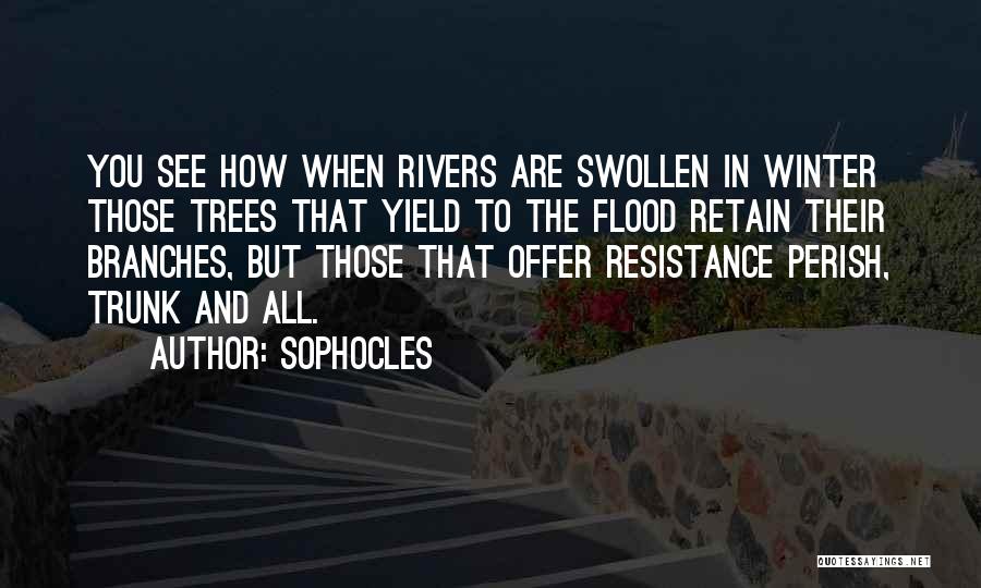 Sophocles Quotes: You See How When Rivers Are Swollen In Winter Those Trees That Yield To The Flood Retain Their Branches, But