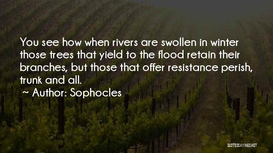 Sophocles Quotes: You See How When Rivers Are Swollen In Winter Those Trees That Yield To The Flood Retain Their Branches, But