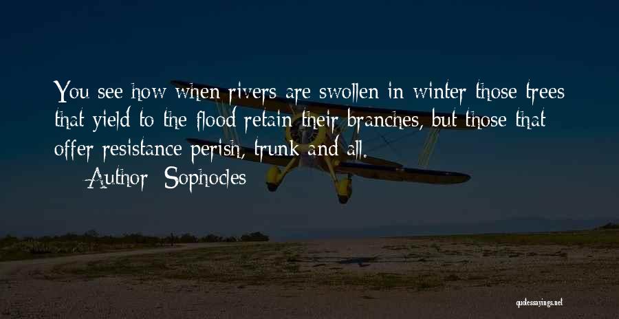 Sophocles Quotes: You See How When Rivers Are Swollen In Winter Those Trees That Yield To The Flood Retain Their Branches, But