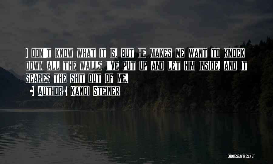 Kandi Steiner Quotes: I Don't Know What It Is, But He Makes Me Want To Knock Down All The Walls I've Put Up