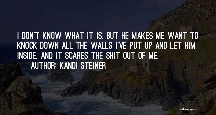 Kandi Steiner Quotes: I Don't Know What It Is, But He Makes Me Want To Knock Down All The Walls I've Put Up