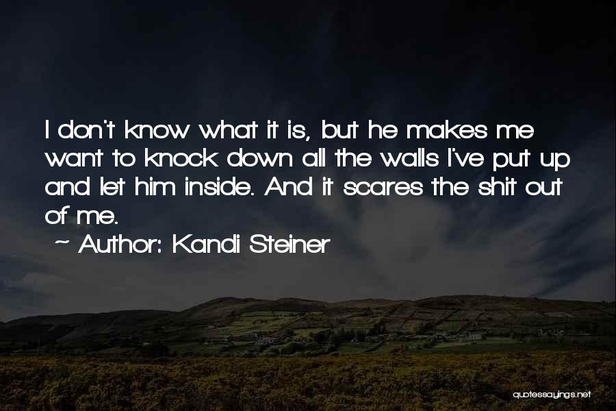 Kandi Steiner Quotes: I Don't Know What It Is, But He Makes Me Want To Knock Down All The Walls I've Put Up