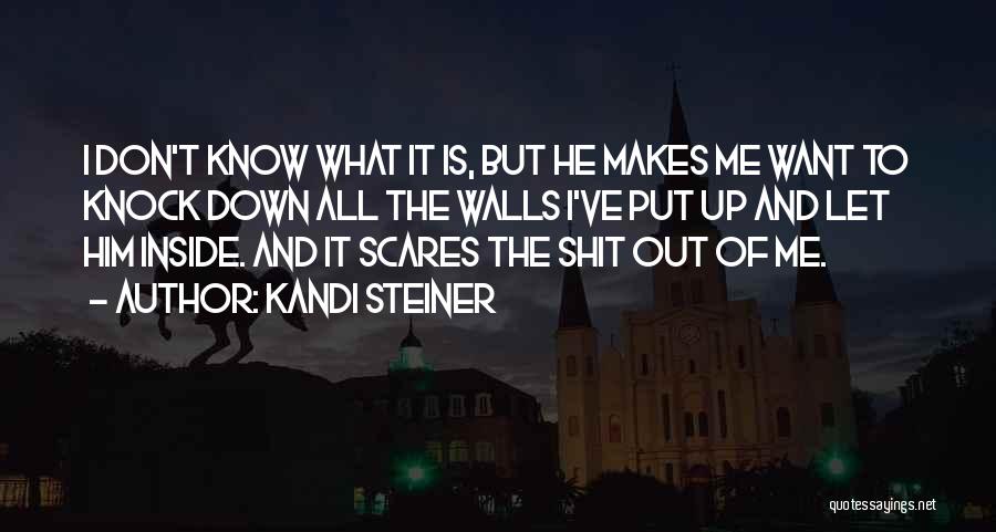 Kandi Steiner Quotes: I Don't Know What It Is, But He Makes Me Want To Knock Down All The Walls I've Put Up