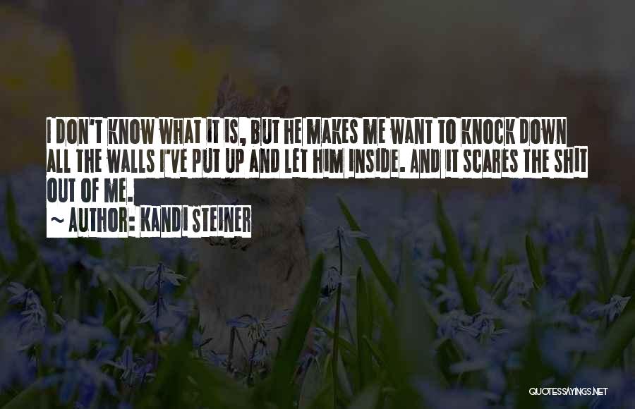 Kandi Steiner Quotes: I Don't Know What It Is, But He Makes Me Want To Knock Down All The Walls I've Put Up