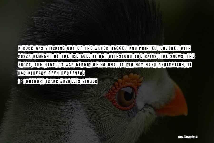 Isaac Bashevis Singer Quotes: A Rock Was Sticking Out Of The Water, Jagged And Pointed, Covered With Mossa Remnant Of The Ice Age. It