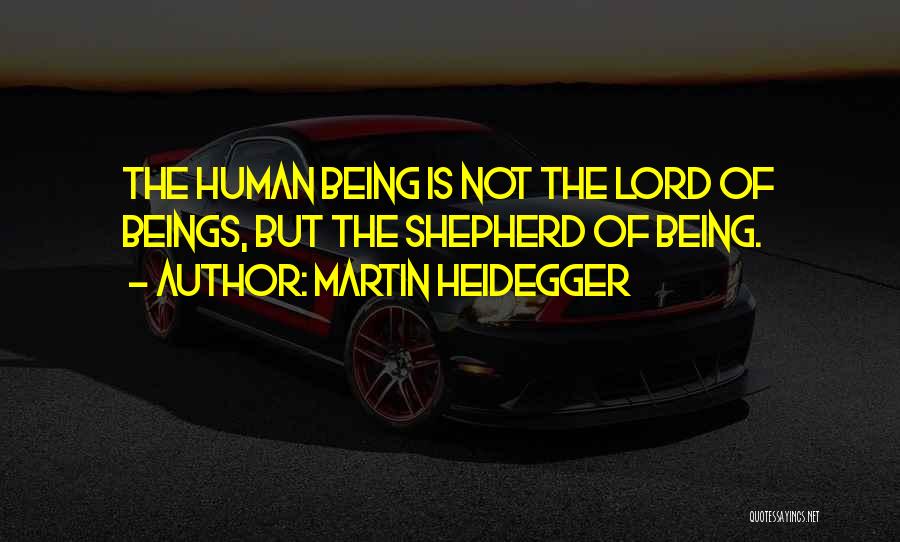 Martin Heidegger Quotes: The Human Being Is Not The Lord Of Beings, But The Shepherd Of Being.