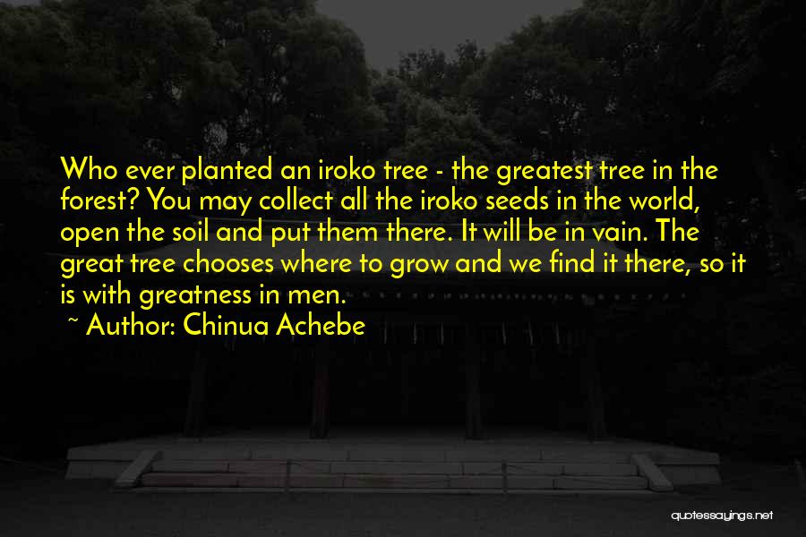 Chinua Achebe Quotes: Who Ever Planted An Iroko Tree - The Greatest Tree In The Forest? You May Collect All The Iroko Seeds