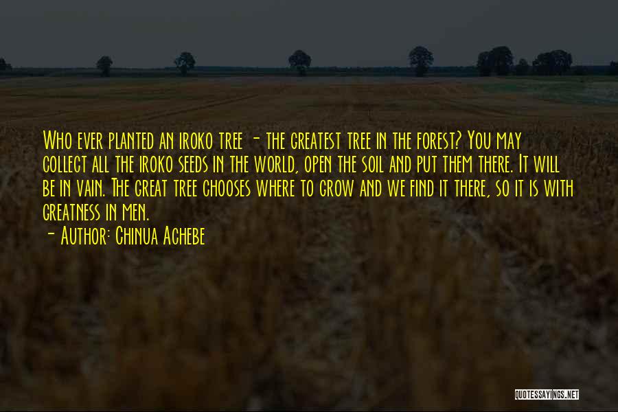 Chinua Achebe Quotes: Who Ever Planted An Iroko Tree - The Greatest Tree In The Forest? You May Collect All The Iroko Seeds