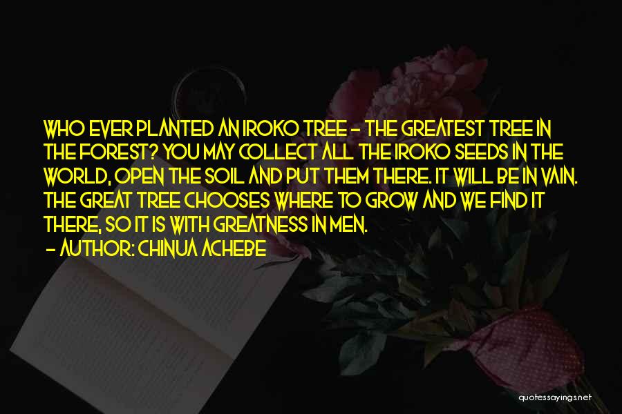 Chinua Achebe Quotes: Who Ever Planted An Iroko Tree - The Greatest Tree In The Forest? You May Collect All The Iroko Seeds