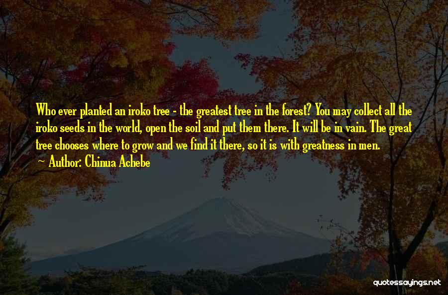 Chinua Achebe Quotes: Who Ever Planted An Iroko Tree - The Greatest Tree In The Forest? You May Collect All The Iroko Seeds