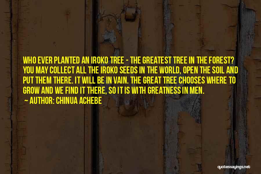 Chinua Achebe Quotes: Who Ever Planted An Iroko Tree - The Greatest Tree In The Forest? You May Collect All The Iroko Seeds