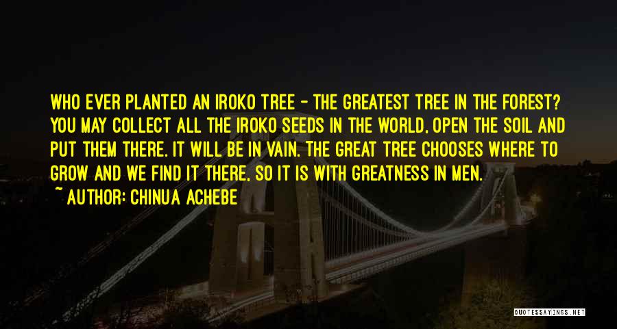 Chinua Achebe Quotes: Who Ever Planted An Iroko Tree - The Greatest Tree In The Forest? You May Collect All The Iroko Seeds