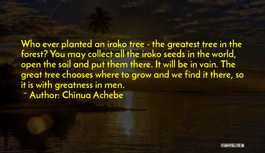 Chinua Achebe Quotes: Who Ever Planted An Iroko Tree - The Greatest Tree In The Forest? You May Collect All The Iroko Seeds