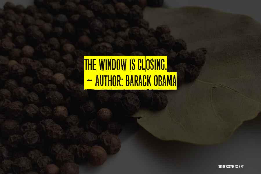 Barack Obama Quotes: The Window Is Closing.