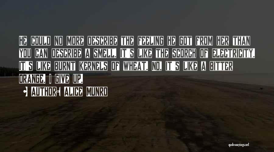 Alice Munro Quotes: He Could No More Describe The Feeling He Got From Her Than You Can Describe A Smell. It's Like The