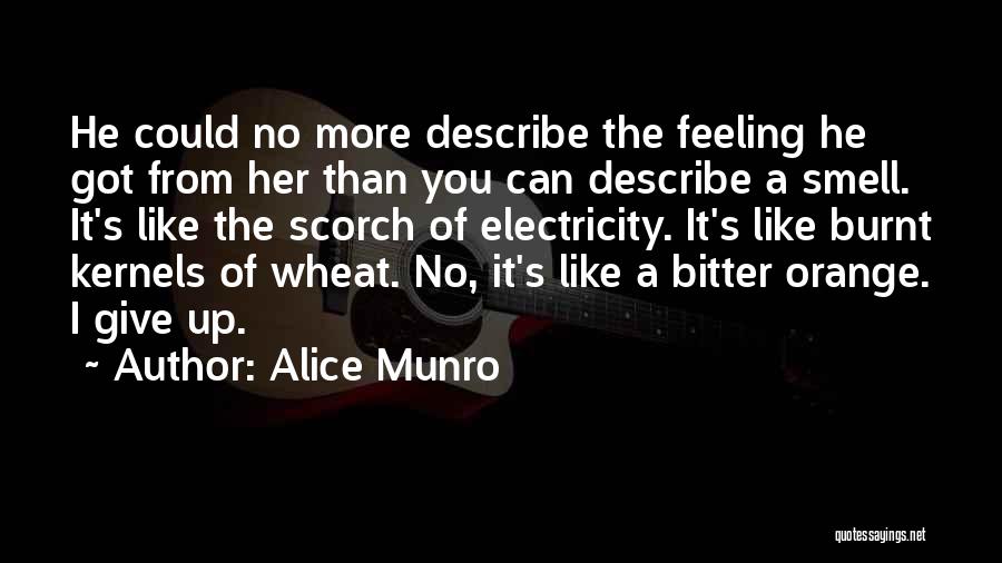 Alice Munro Quotes: He Could No More Describe The Feeling He Got From Her Than You Can Describe A Smell. It's Like The