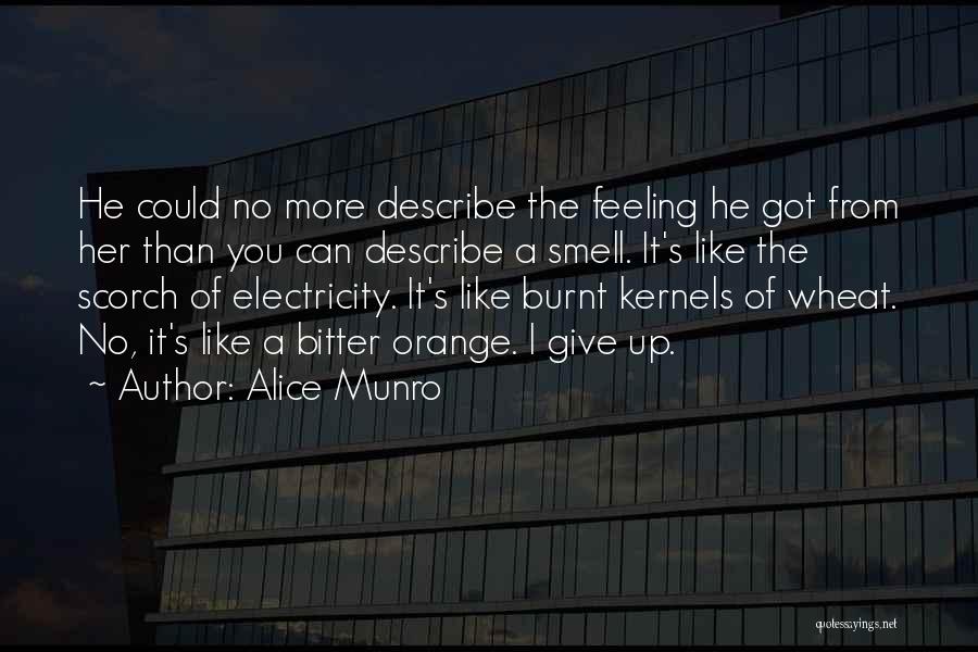 Alice Munro Quotes: He Could No More Describe The Feeling He Got From Her Than You Can Describe A Smell. It's Like The