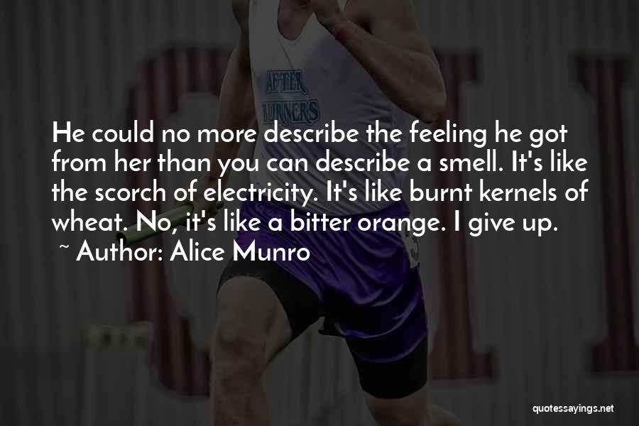 Alice Munro Quotes: He Could No More Describe The Feeling He Got From Her Than You Can Describe A Smell. It's Like The