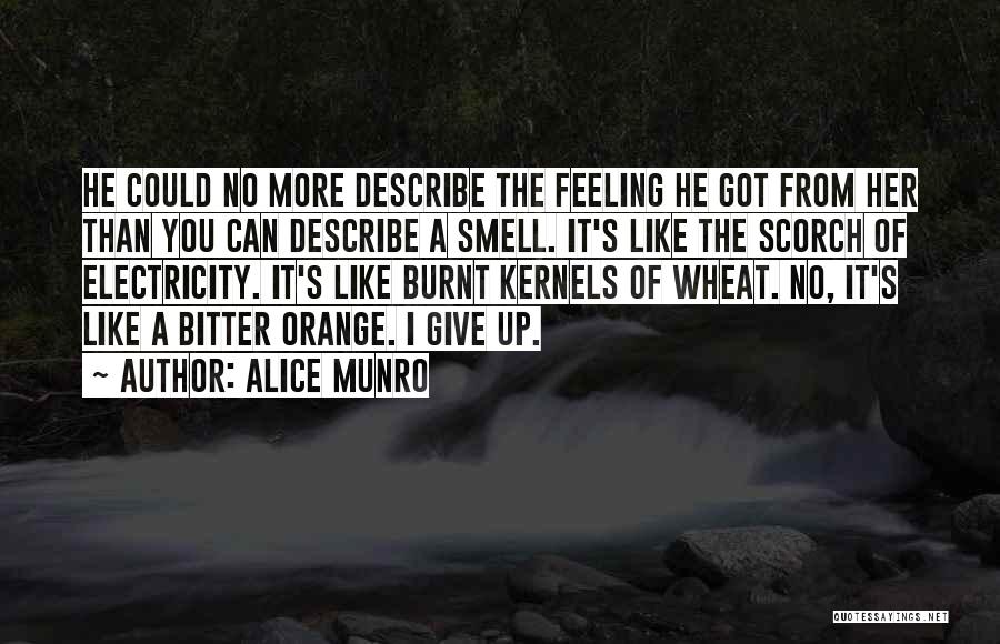 Alice Munro Quotes: He Could No More Describe The Feeling He Got From Her Than You Can Describe A Smell. It's Like The